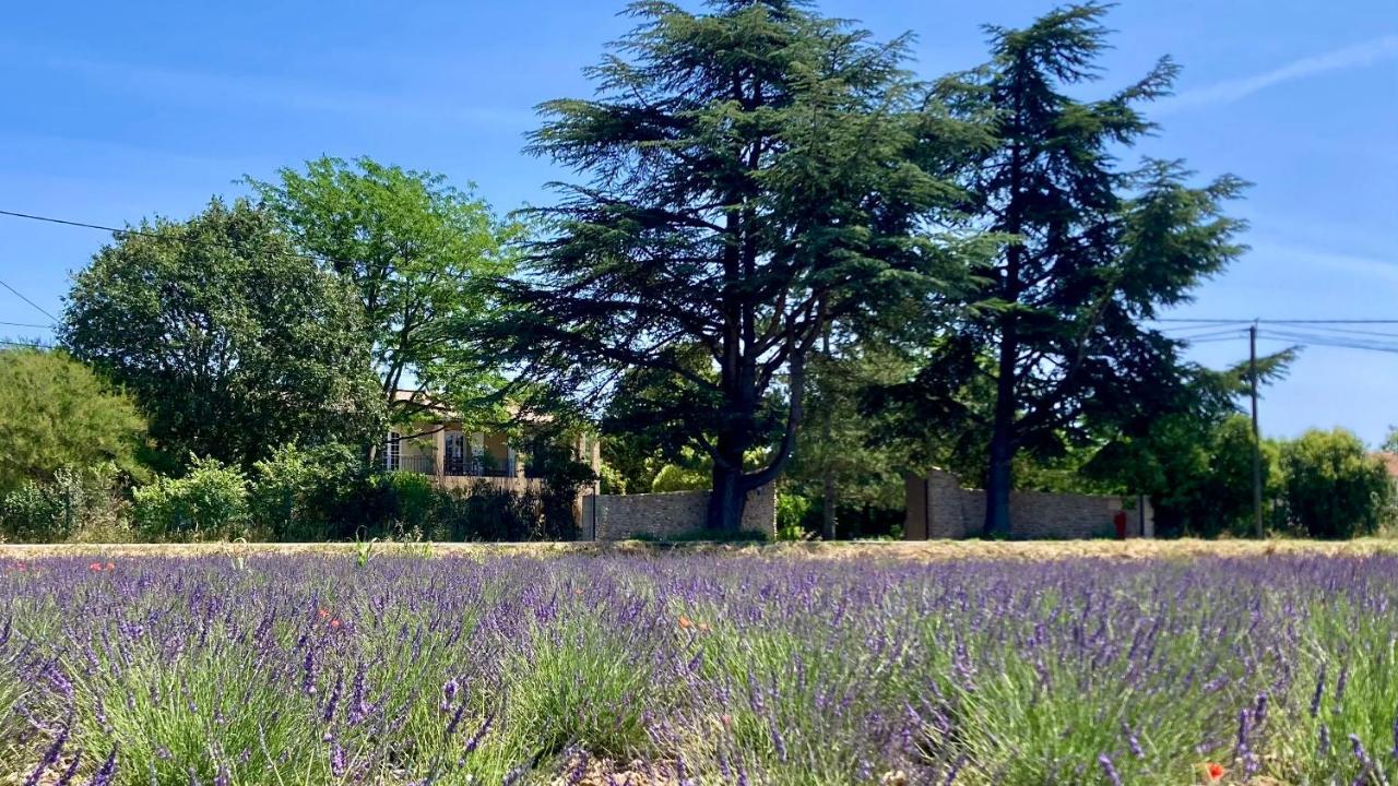 Gite Harmonie Gréoux-les-Bains Exteriör bild