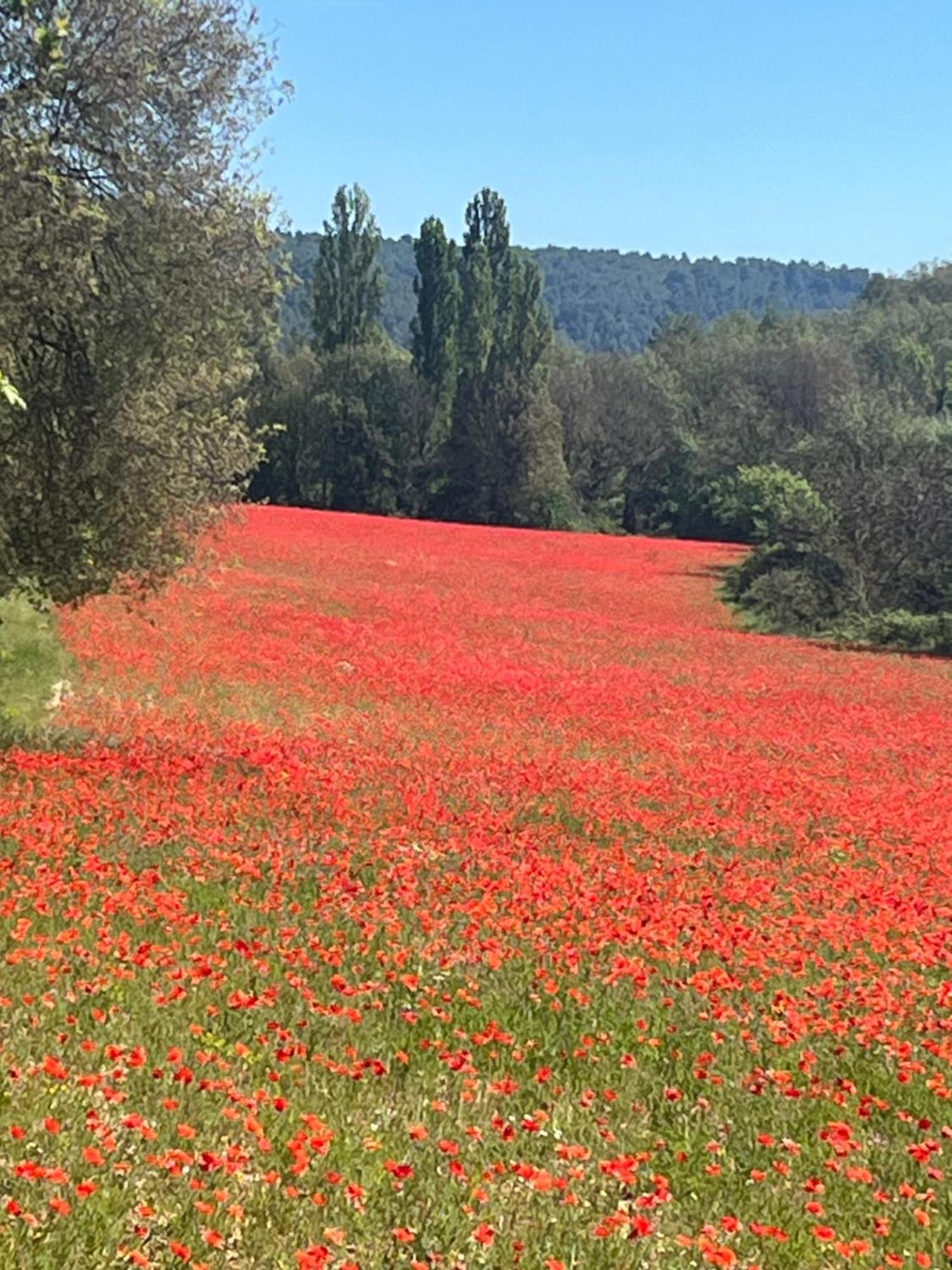 Gite Harmonie Gréoux-les-Bains Exteriör bild